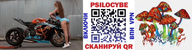 Псилоцибиновые грибы Cubensis Псков